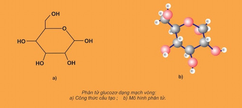 Công thức và cấu trúc phân tử của glucozo